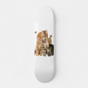Skate Gatos