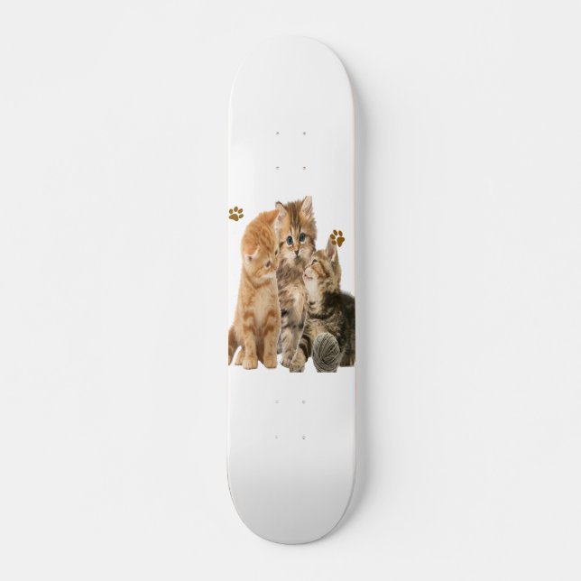 Skate Gatos (Frente)