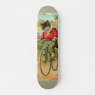 Skate Gatos do vintage na bicicleta