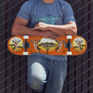 Skate Gazelle African Antelope Wild Animal