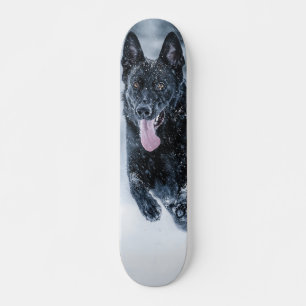 Skate German shepherd preto no Cobrir da escova de neve