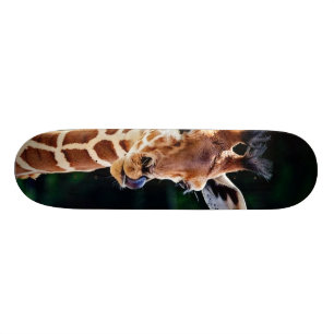 Skate girafa novo doce