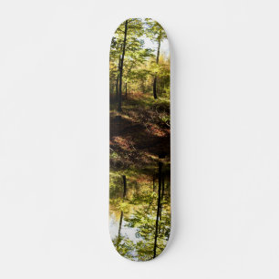 Skate Glândula florestal