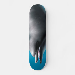 Skate Golfinho Sorridente