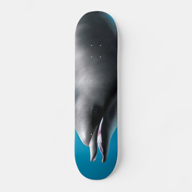 Skate Golfinho Sorridente (Frente)