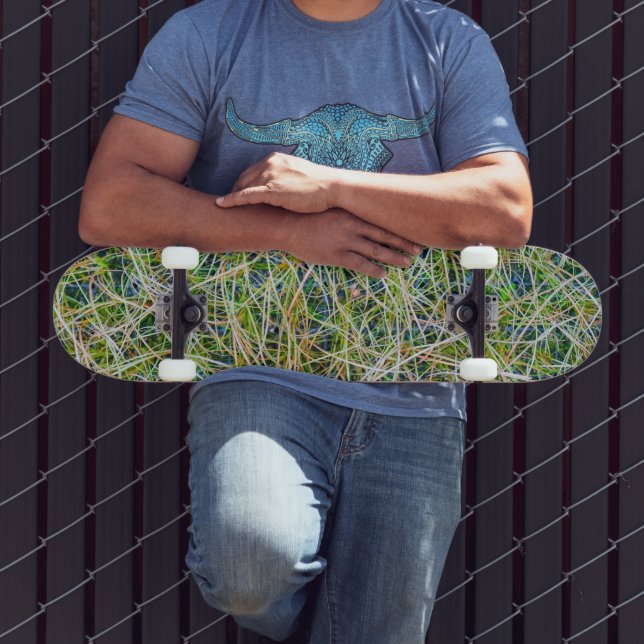 Skate Grama Ornamental Fina (Ao ar livre 3)