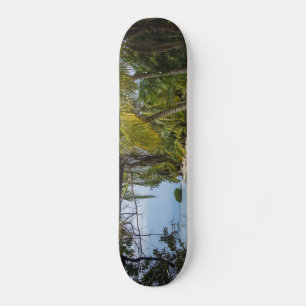 Skate Grove tropical