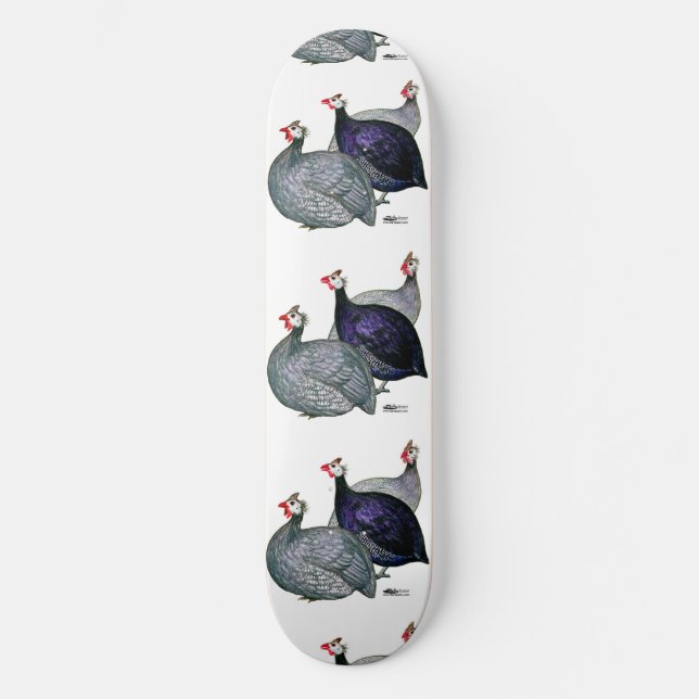 Skate Guineas Três (Frente)