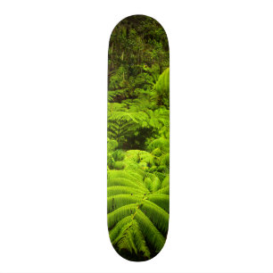Skate Havaí, Ilha Grande, Verde tropical em Lush