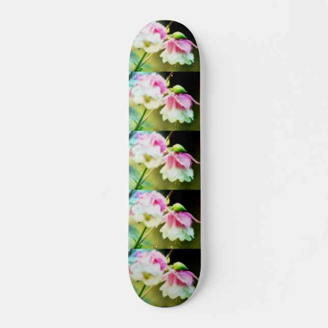 Skate Hemorragia cardíaca por Shirley Taylor (Frente)