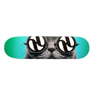 Skate Hidro gato