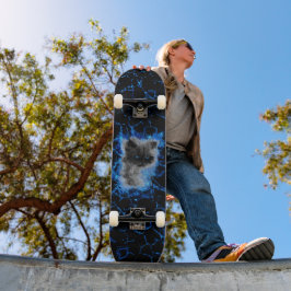Skate Himalayan Cat