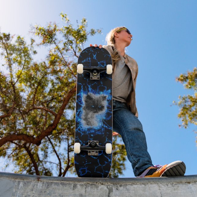 Skate Himalayan Cat (Ao ar livre 1)