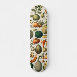 Skate Ilustração Científica Botânica Vegetal fruta