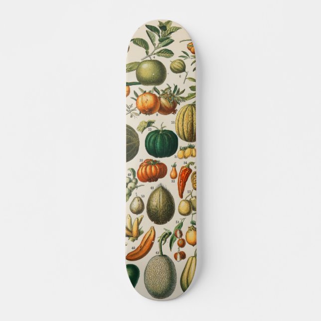 Skate Ilustração Científica Botânica Vegetal fruta (Frente)