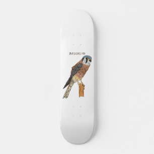 Skate Ilustração de ave do Kestrel Americano