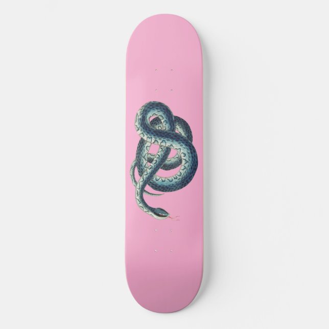 Skate Ilustração de Cobra azul de vindima a rosa (Frente)