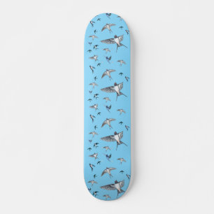 Skate Ilustração Do Bando De Aves De Engorda Voadoras