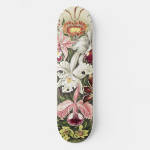 Skate Impressão Botânica Vintage de Orquídea de Ernst Ha
