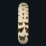 Skate Insetos do Jardim pelo Vision Studio<br><div class="desc">Esta obra do Vision Studio é um sonho de entomologistas! Os insetos de jardim são desenhados sobre um fundo creme,  mostrados em detalhes extremamente bonitos. Se você ama insetos,  esta é a impressão para você!</div>