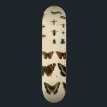 Skate Insetos do Jardim pelo Vision Studio<br><div class="desc">Esta obra do Vision Studio é um sonho de entomologistas! Os insetos de jardim são desenhados sobre um fundo creme,  mostrados em detalhes extremamente bonitos. Se você ama insetos,  esta é a impressão para você!</div>