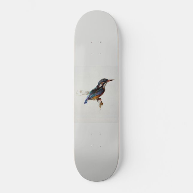 Skate Kingfisher (por John Ruskin) (Frente)