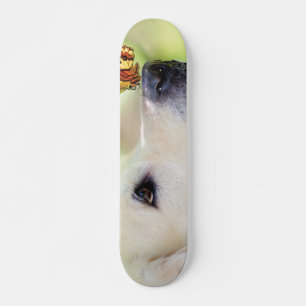 Skate Labrador E Travesseiro decorativo De Borboleta