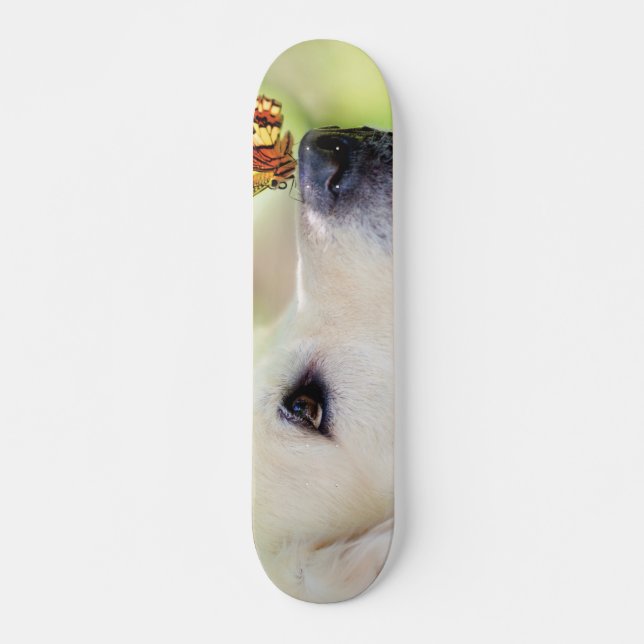 Skate Labrador E Travesseiro decorativo De Borboleta (Frente)
