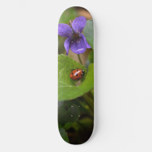 Skate Ladybug em Flores de Violeta Doce