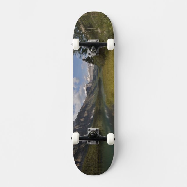 Skate Lago de aves aquáticas ao longo da Icefields parkw (Frente)