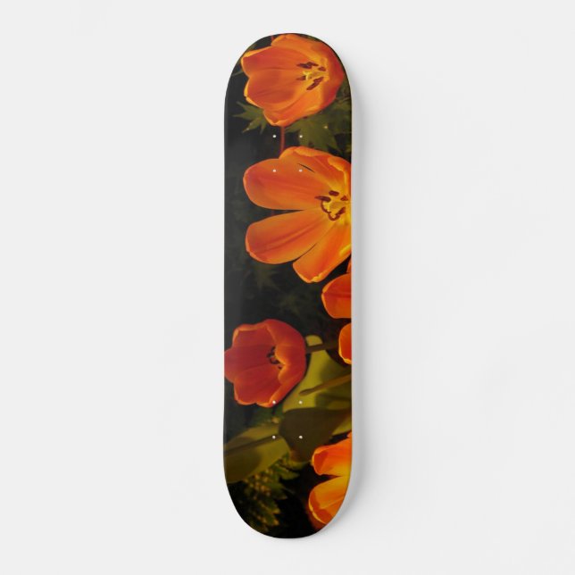 Skate Laranja Tulipas (Frente)