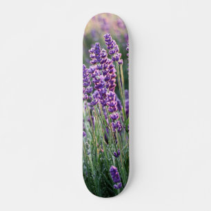 Skate Lavanda Lusciosa