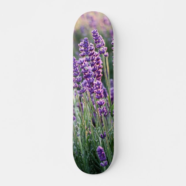 Skate Lavanda Lusciosa  (Frente)