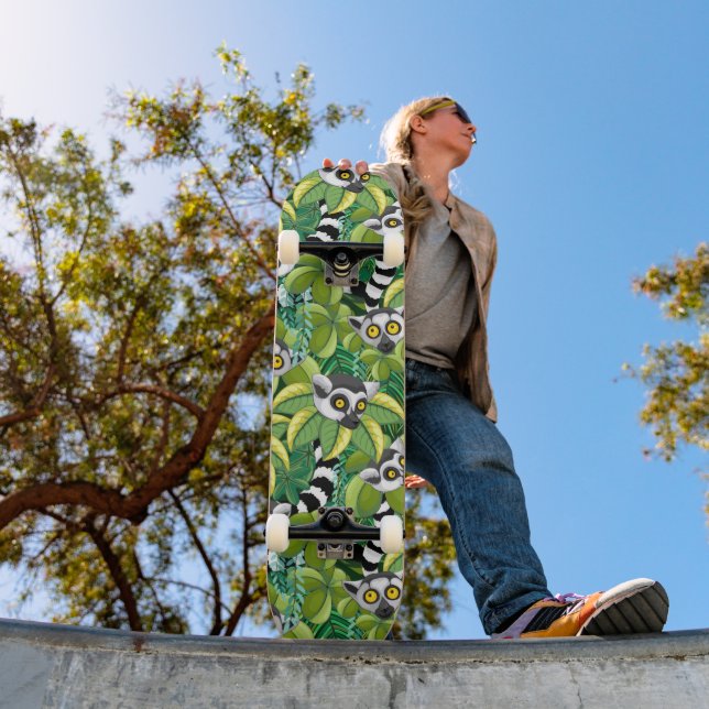 Skate Lêmures de Madagascar na Selva Exótica (Ao ar livre 1)