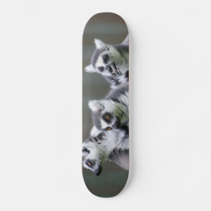 SKATE LÊMURES SALTADORES