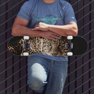 skate leopardo