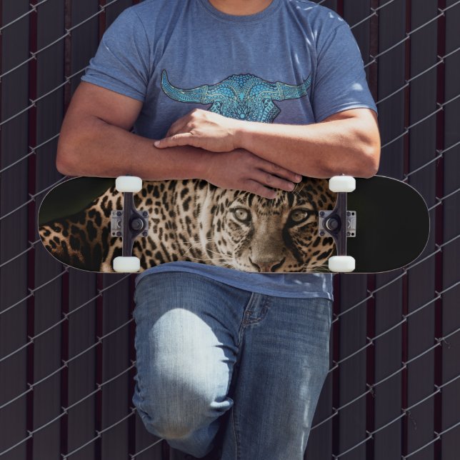 skate leopardo (Ao ar livre 3)
