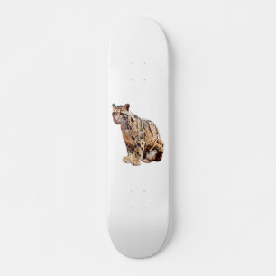 Skate leopardo nebuloso fotografia selva grande felino a