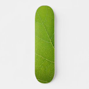 Skate Linda Folha Verde