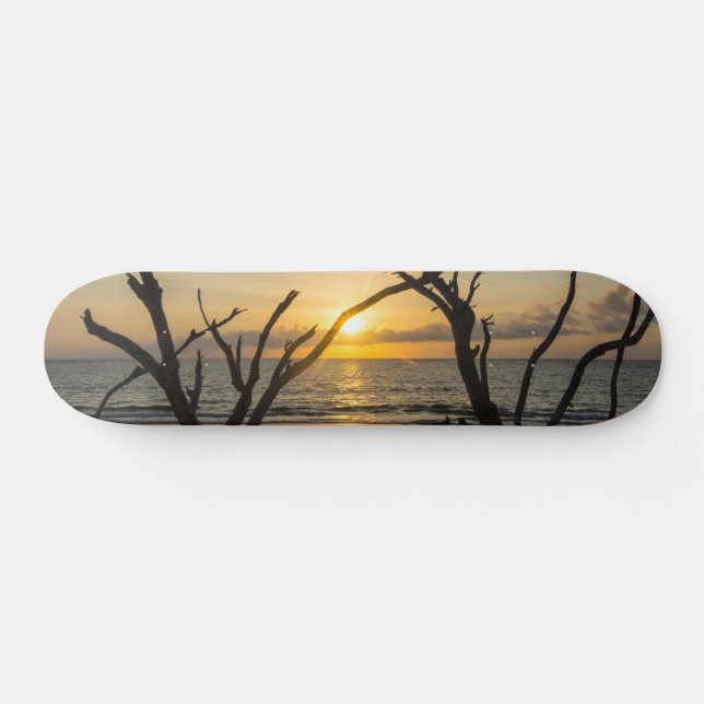 Skate Linda Folly Morning (Horz)