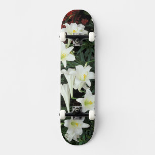 Skate Lírio-de-páscoa (Lilium regale)