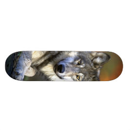 Skate Lobo cinzento - lobo de madeira - série do lobo