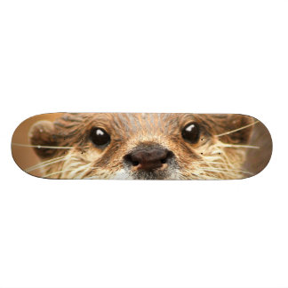 Skate Lontra agarrada pequena asiática
