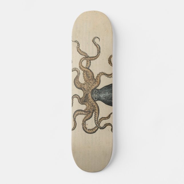 Skate Lula Kraken Antigo Marinho Vida Selvagem Costeira (Frente)