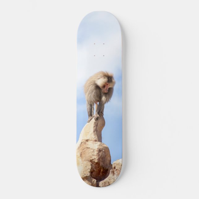 Skate Macaco babuíno no topo de uma montanha (Frente)