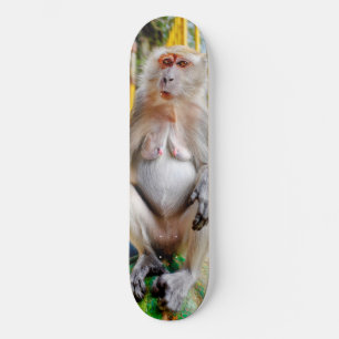Skate Macaco-cinzento