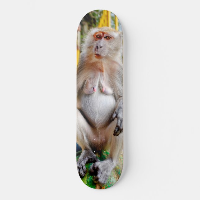 Skate Macaco-cinzento (Frente)