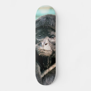 SKATE MACACOS