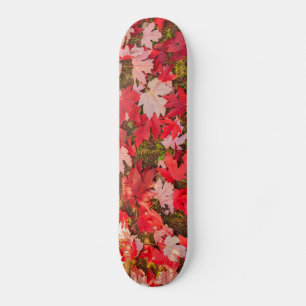 Skate magia cromática do outono Skateboards