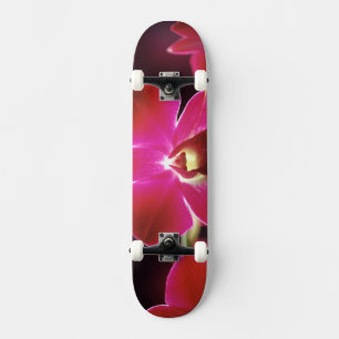 Skate Malásia, Orquídea